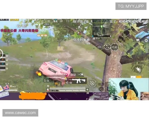 和平精英评论：RNG战术包夹的成功与失败分析